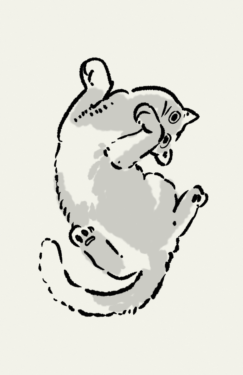 cat brush drawing