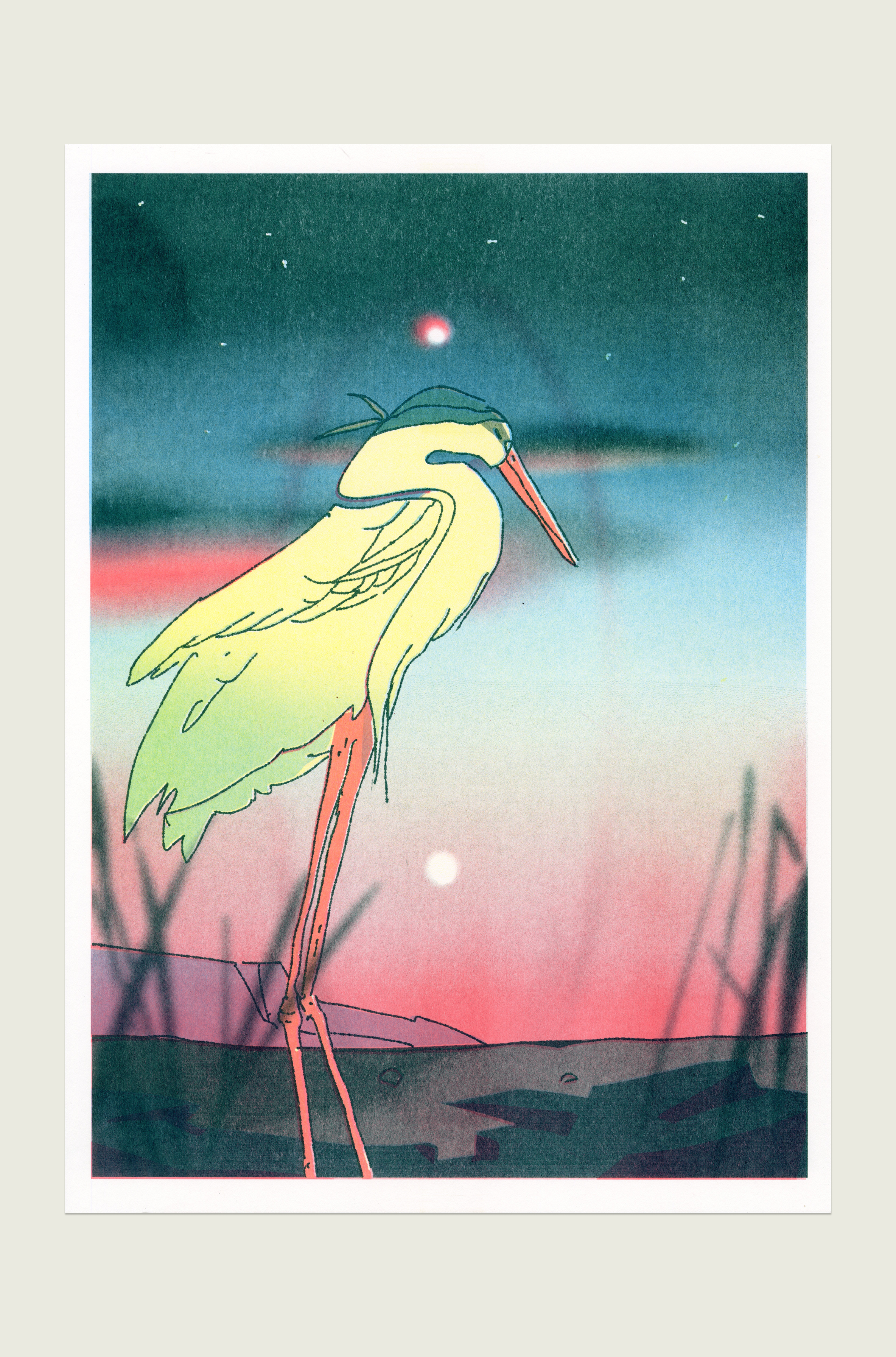 Heron